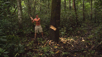 Bruce is left to chop down a tree