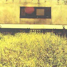 Review of Popular Mechanics