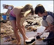 Rock pooling