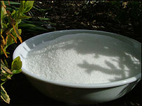 Sugar was processed in Southampton