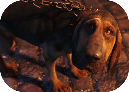 bloodhound_final.jpg