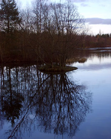 Reflections on Birnie Loch