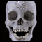 'For the Love of God', obra de Damien Hirst