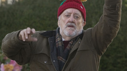 Day Twenty Seven! Cribbins at Christmas!