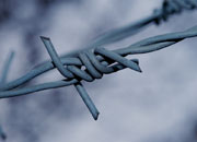 Strands of a barbed wire fence