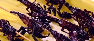 Scorpions on skewers