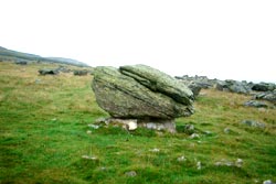 erratic boulder