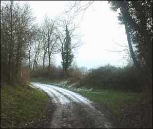 A country lane in Lower Quinton