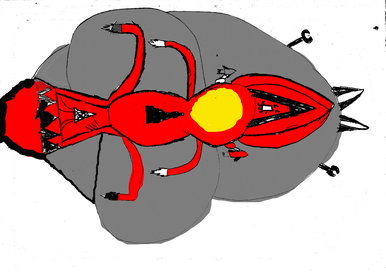 Spaceship-Visual Design
