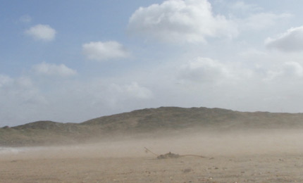 Longboard gold? And a powerful sight from the cliff top. Recent swell has been sizeable all over the Atlantic facing Irish breaks. Pic: Mar 07