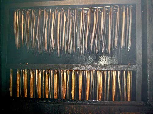 Smoking eels