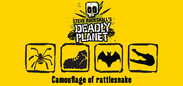 Comouflage of Rattlesnake secret code - Spider, Boot, Bat, Croc
