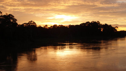 A Mamiraua Sunset