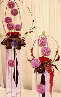 10alliums_203_300.jpg