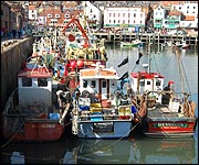 Boats moored in Scarborough harbour