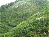 Phú Bài