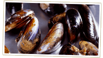 Mussels