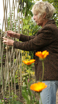 Carol Klein in her garden at Glebe Cottage