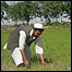 یک کشاورز افغان در هرات