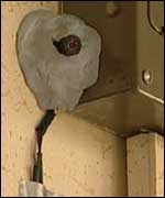 A camera in the building