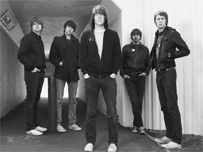 Pigeon Detectives