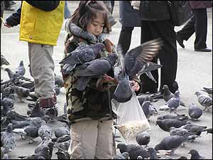 خداکرم آذرپرند