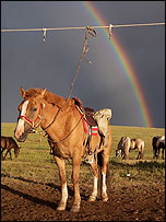Lucy Taylor's Mongolia snaps