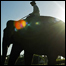 Elefante