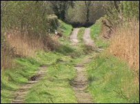 Farm track in County Louth