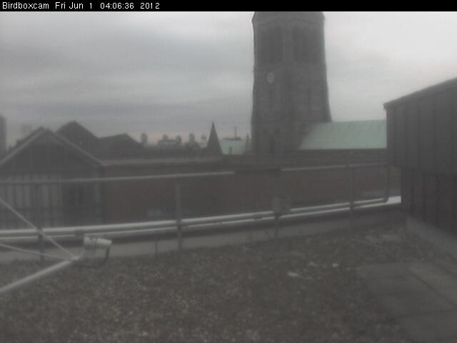 Nest box on BBC Leicester roof