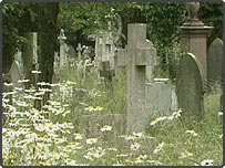 قبر کے پتھر پر پیغام