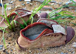 Lost shoe after the tsunami, in Khao Lak, one of the worst hit areas in Thailand