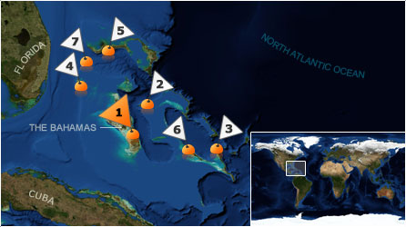 Dive map - Atlantic Ocean - Site 1