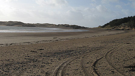 Traethllanddwyn.jpeg