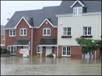 Cypress Gardens, Longlevens, July '07