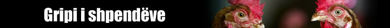 Gripi i shpendëve
