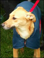 one of the Leeds 'Owlers