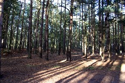 Miriam O'Reilly with Peter Jones from Biffa