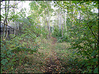 On top of Friar Gate Station