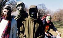 Animal Collective