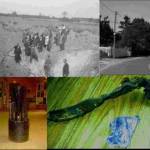 Above left, the crash site in 1944, with the huge crater made by the explosion. Above right, the crash site in 2004. Below left, the fins of a bomb casing and below right, a wing spar with part of an oil cooler.