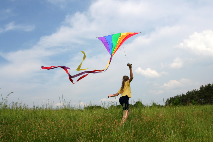 Flying kite @ Hallgerd - Fotolia.com