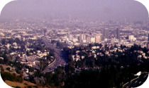 Small image of LA