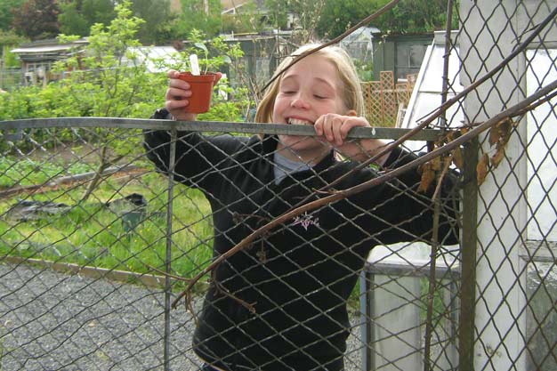 A seed becomes a seedling.