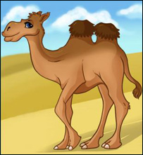 شتر
