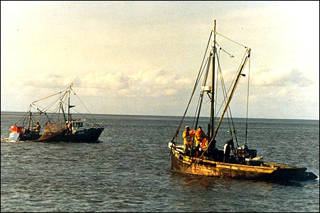 Traditional and modern fishing boats