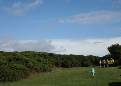 Wales BBQ photos