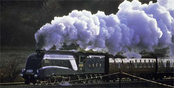 The Mallard steam train