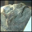 Hatshepsut