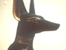 The jackal god Anubis
